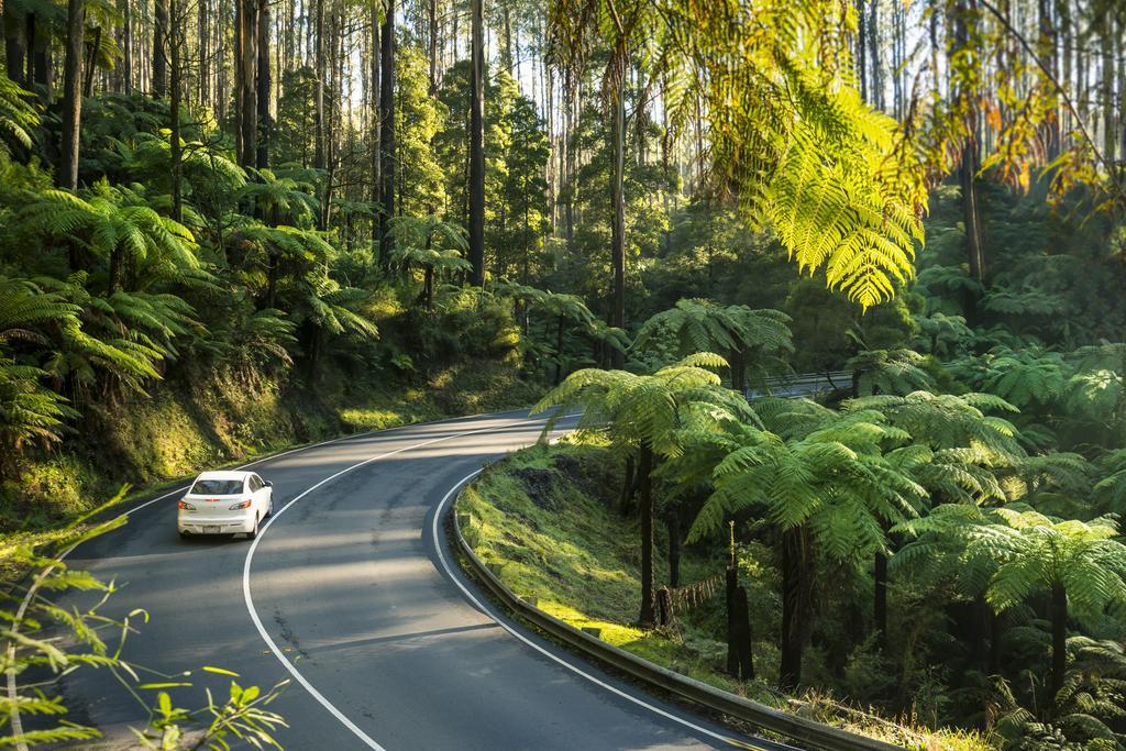 Lithgow Falls Marysville Εξωτερικό φωτογραφία